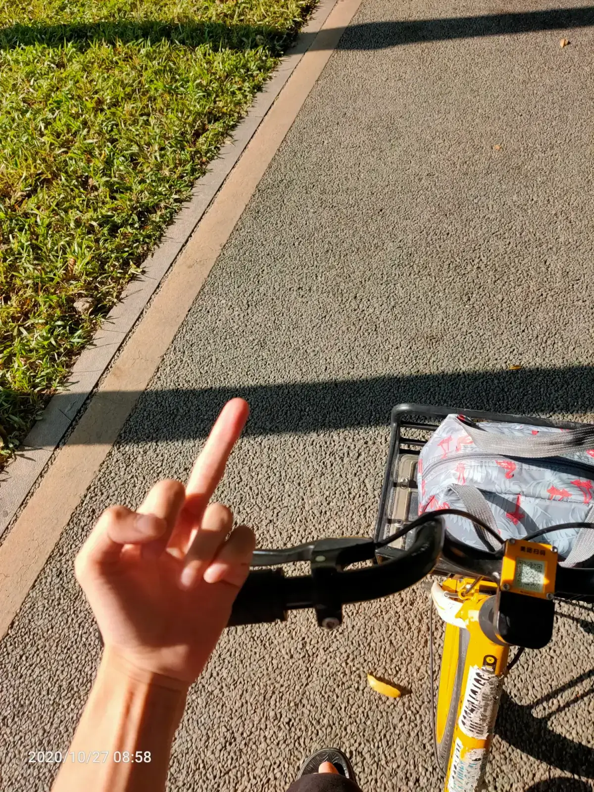 Cover Image of the Post