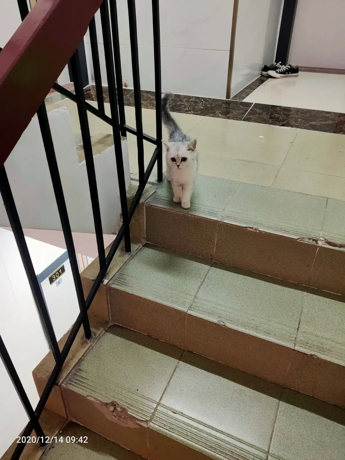 Cover Image of the Post