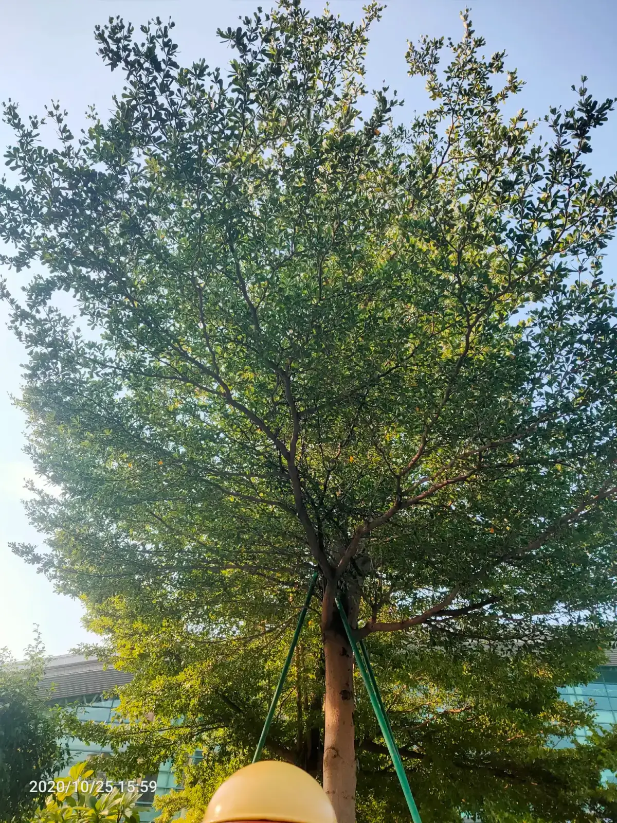 Cover Image of the Post