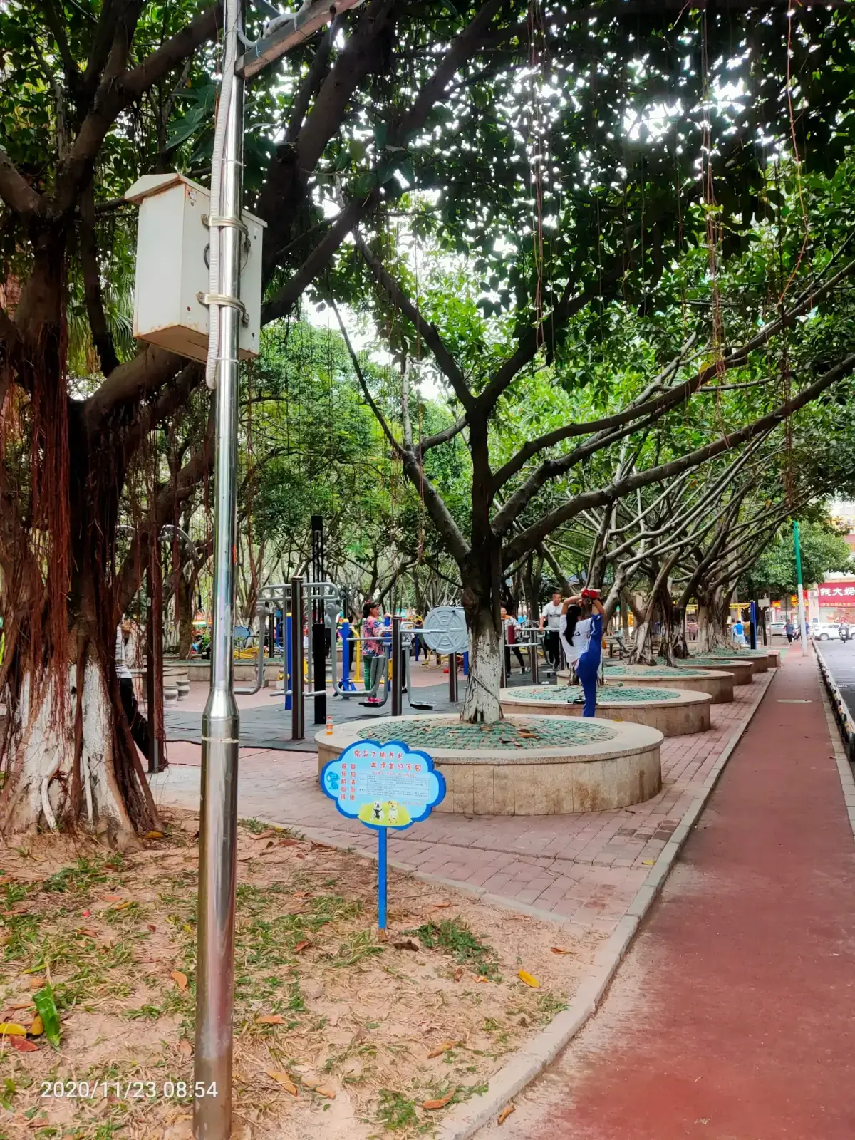 Cover Image of the Post