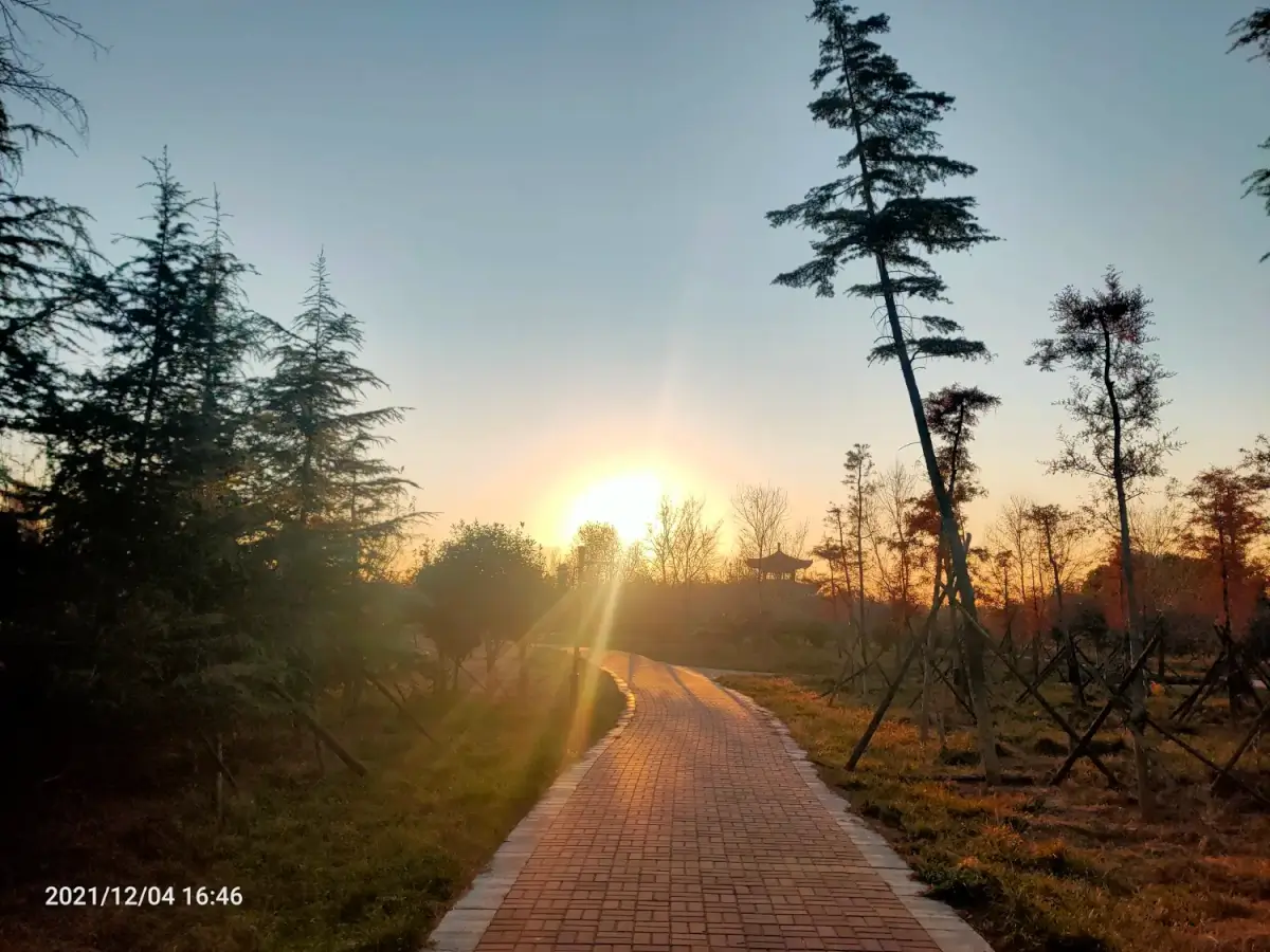 Cover Image of the Post