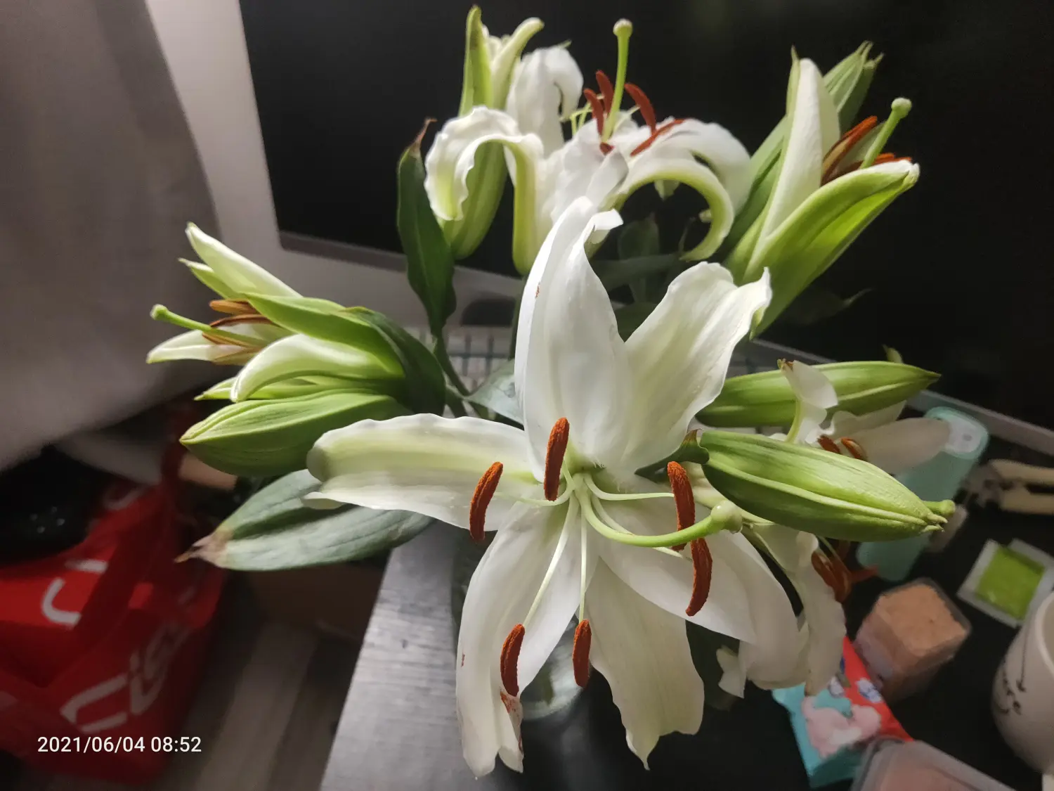 Cover Image of the Post