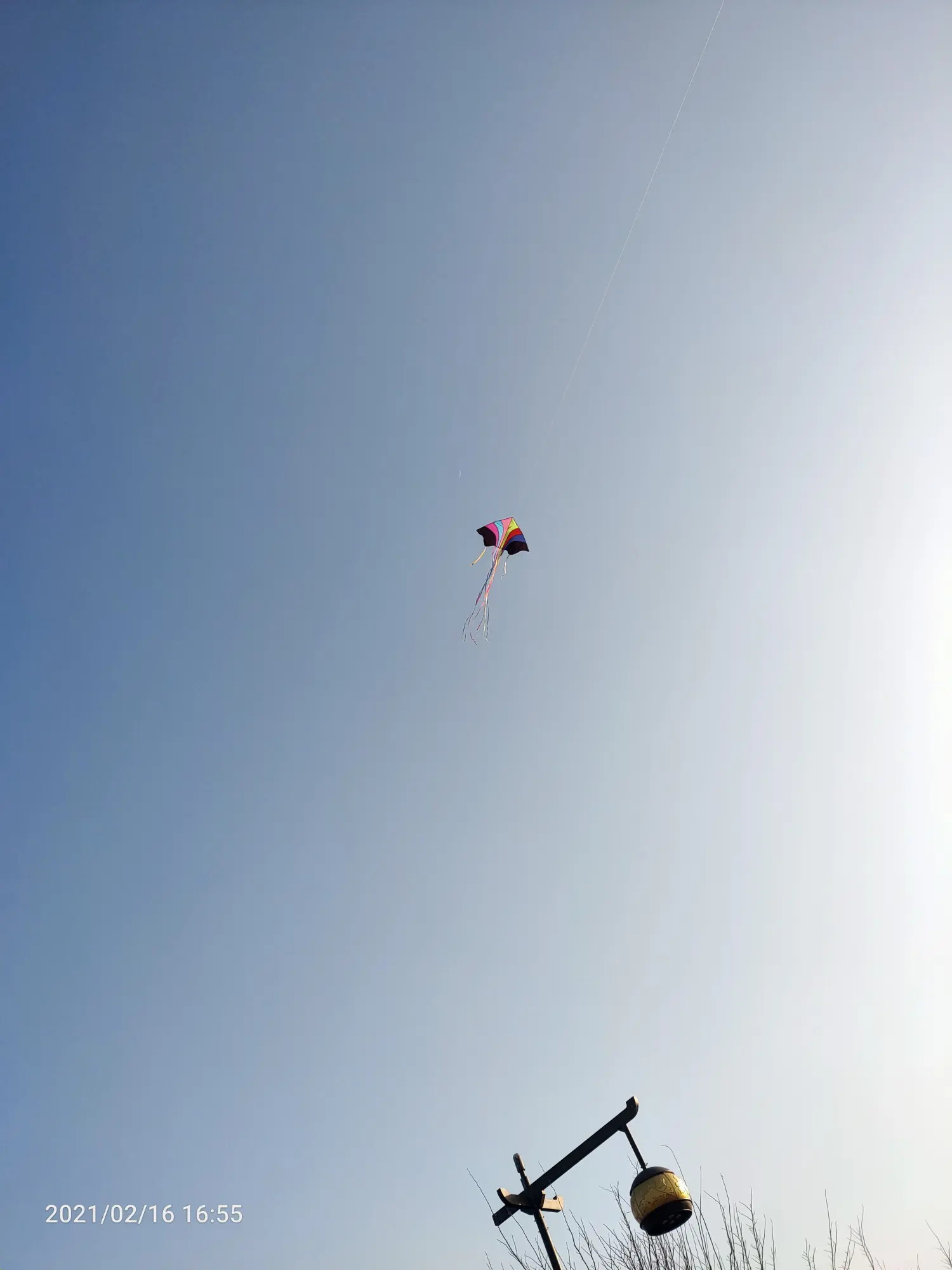 Cover Image of the Post