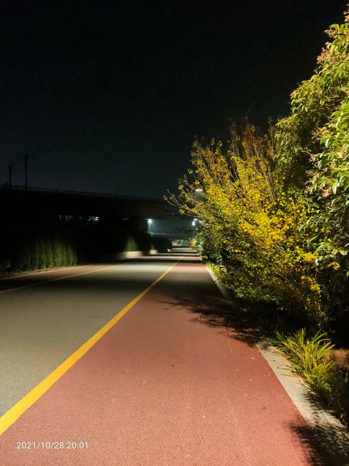 Cover Image of the Post