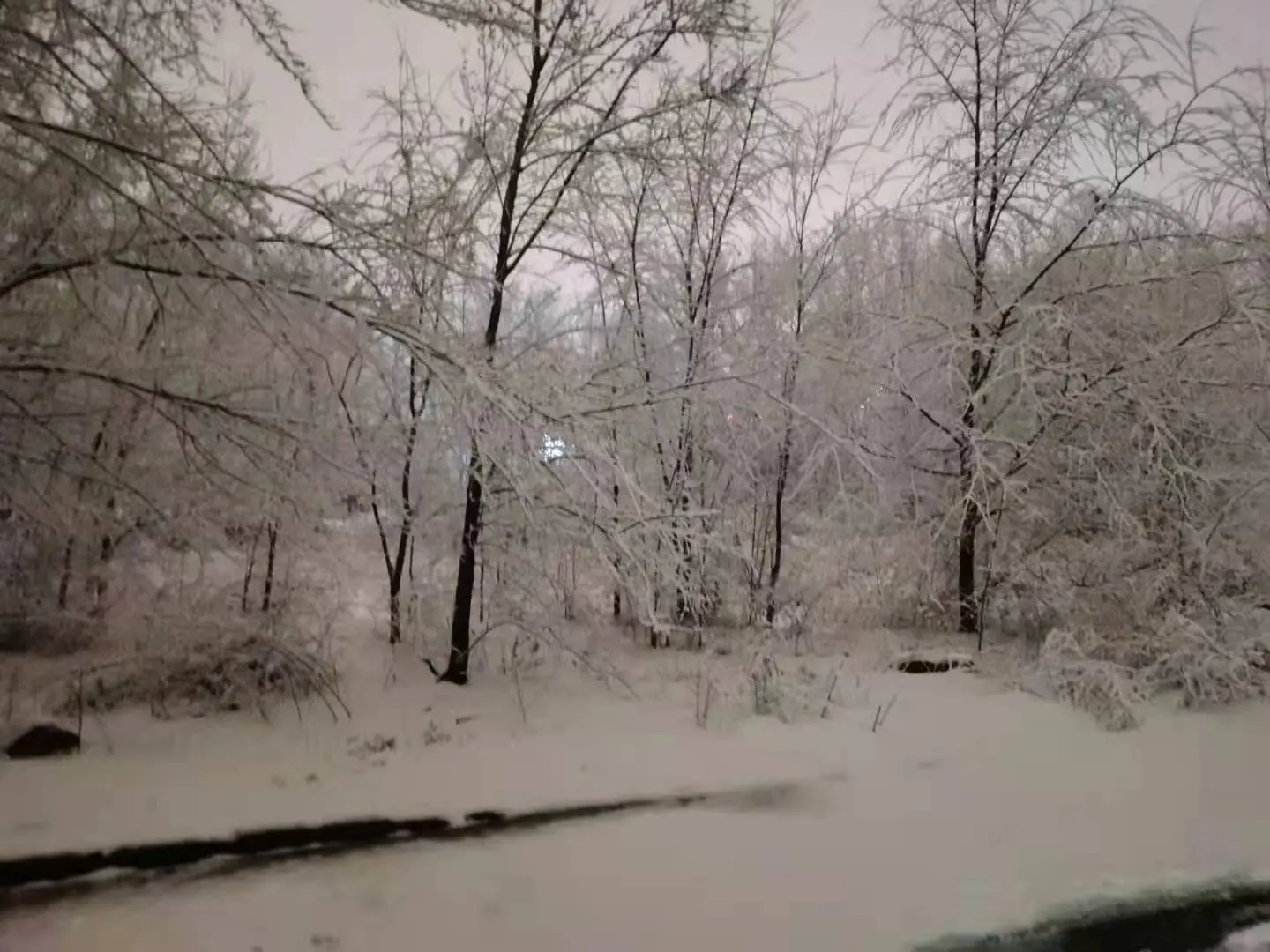 Cover Image of the Post