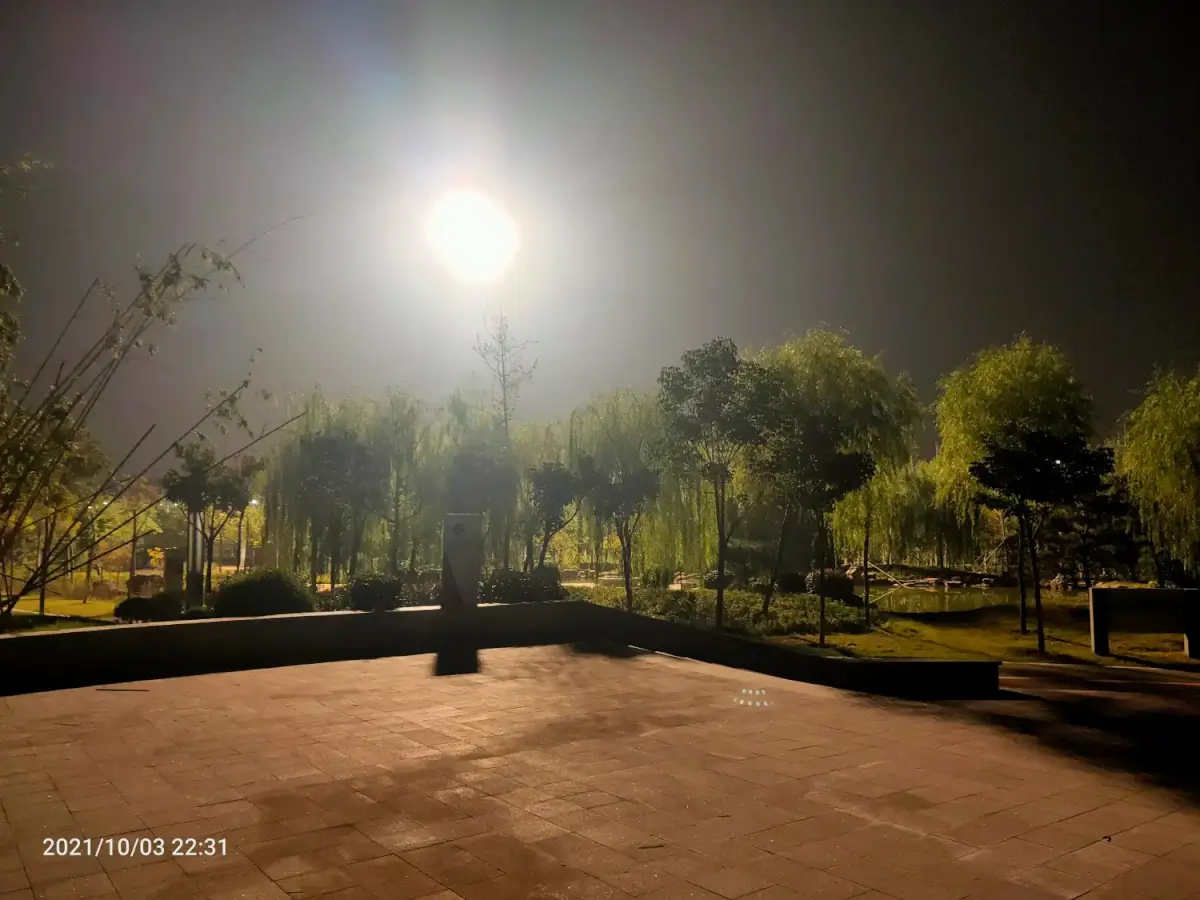 Cover Image of the Post