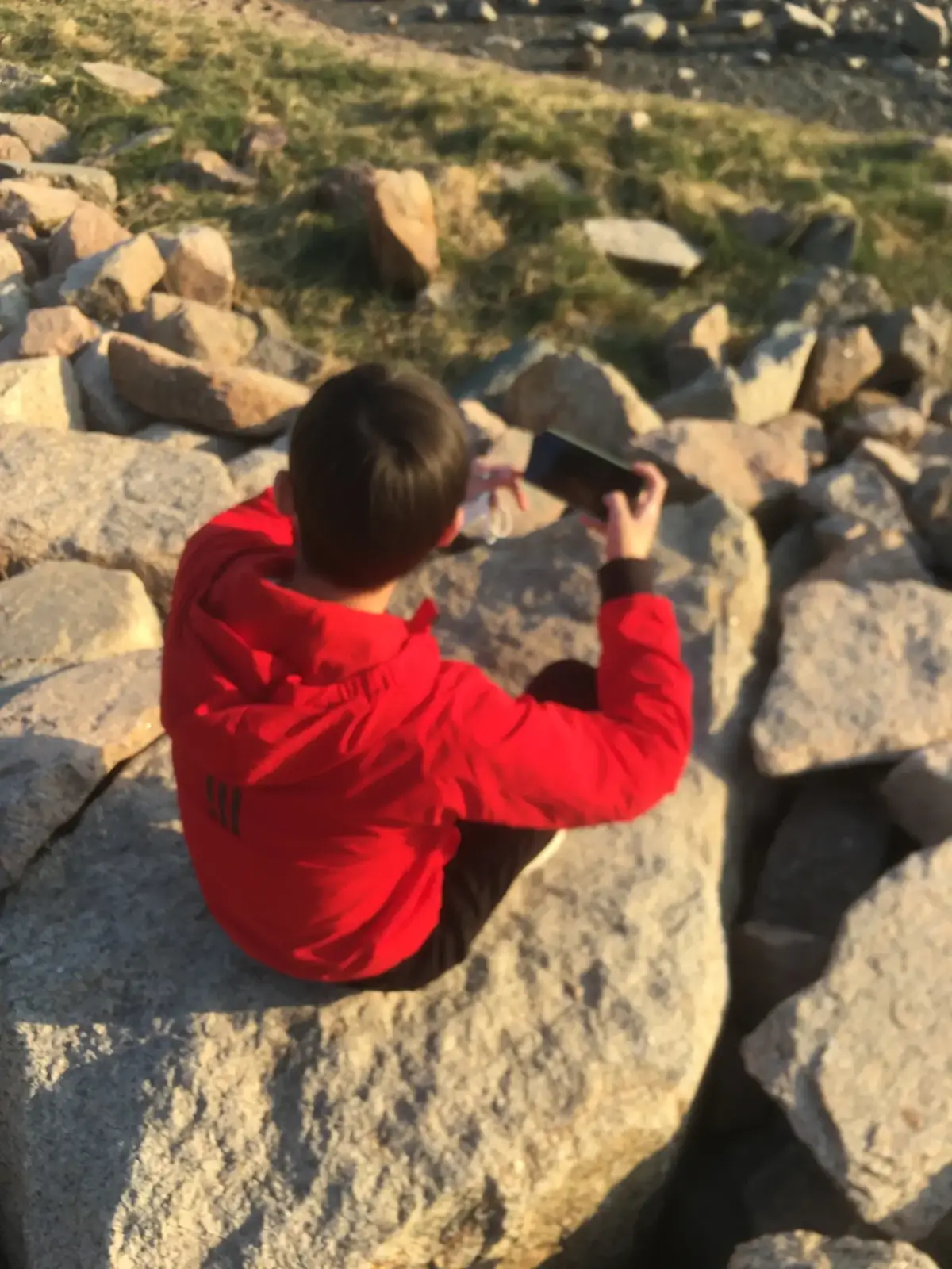 Cover Image of the Post