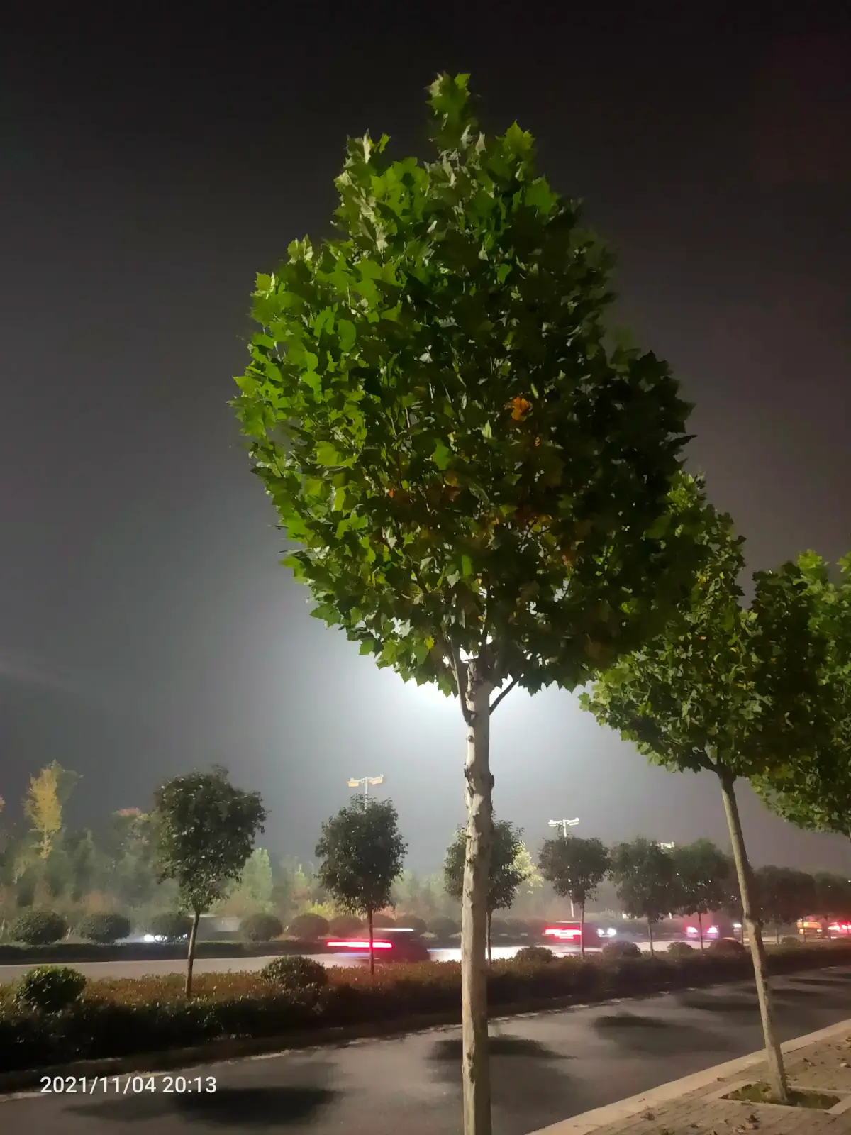 Cover Image of the Post