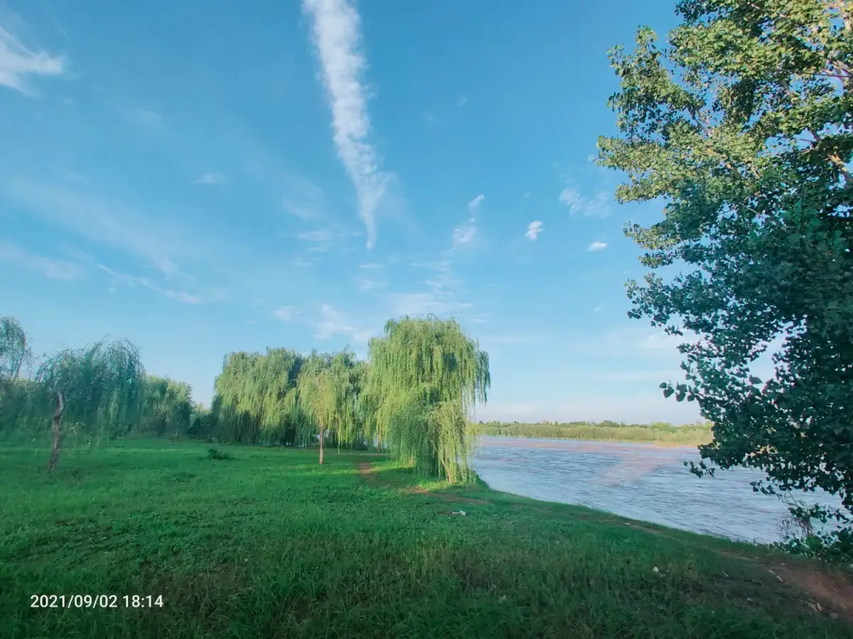 Cover Image of the Post