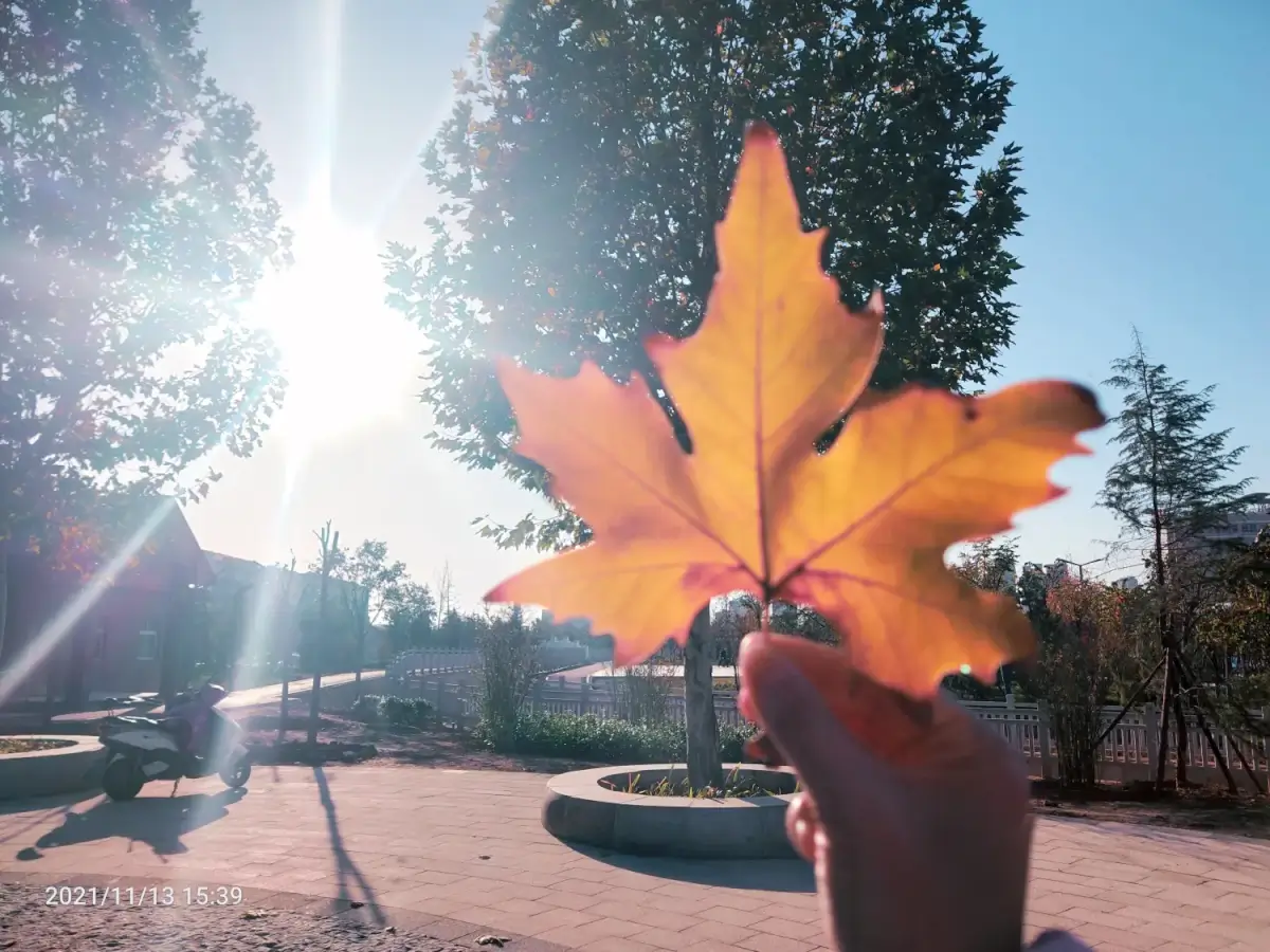 Cover Image of the Post