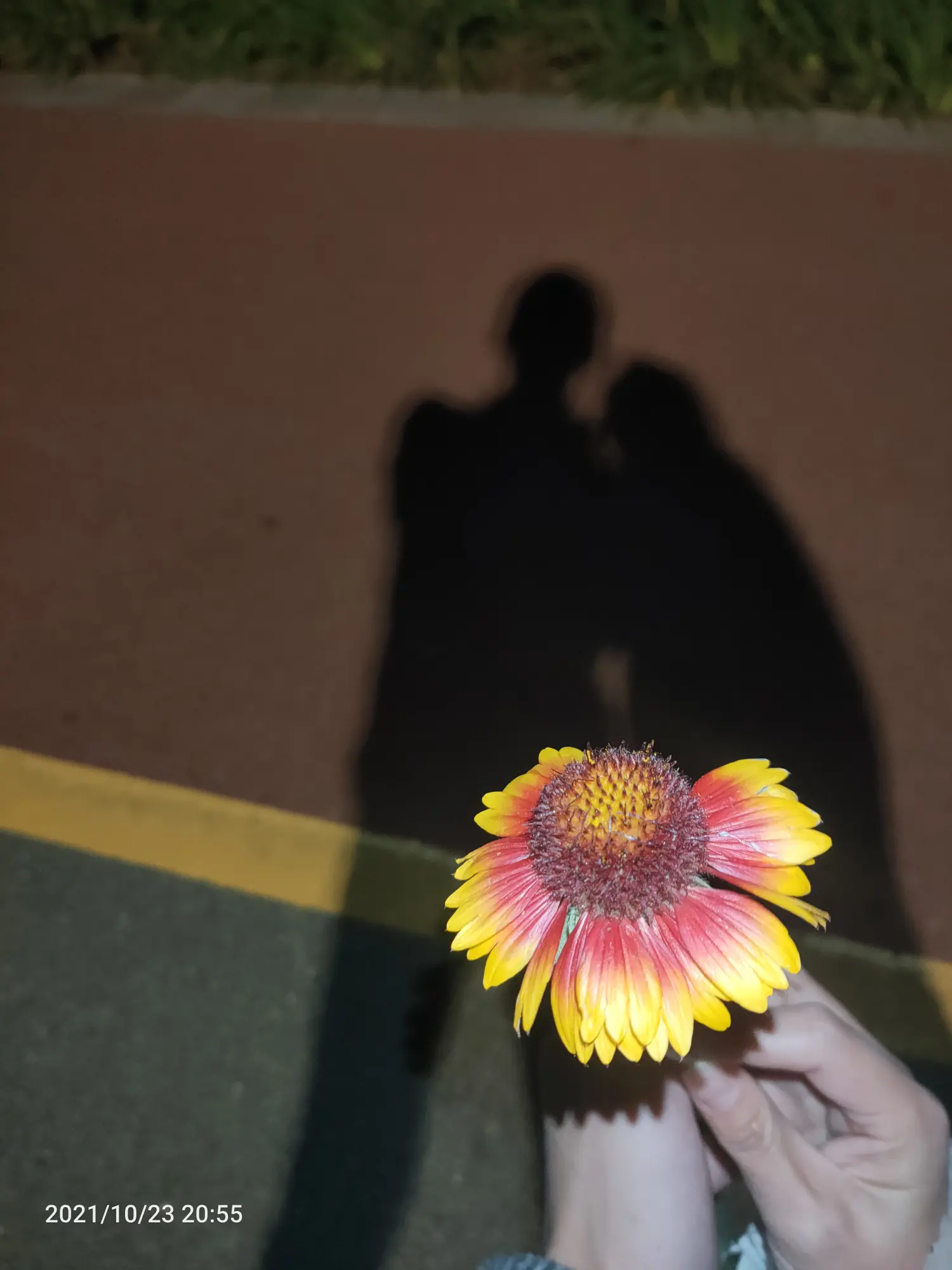 Cover Image of the Post