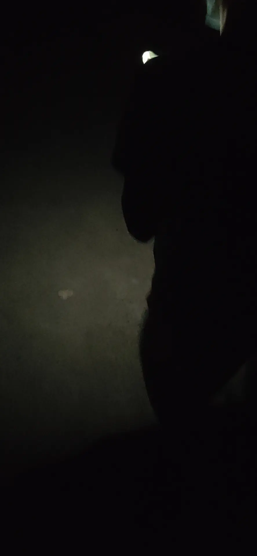 Cover Image of the Post