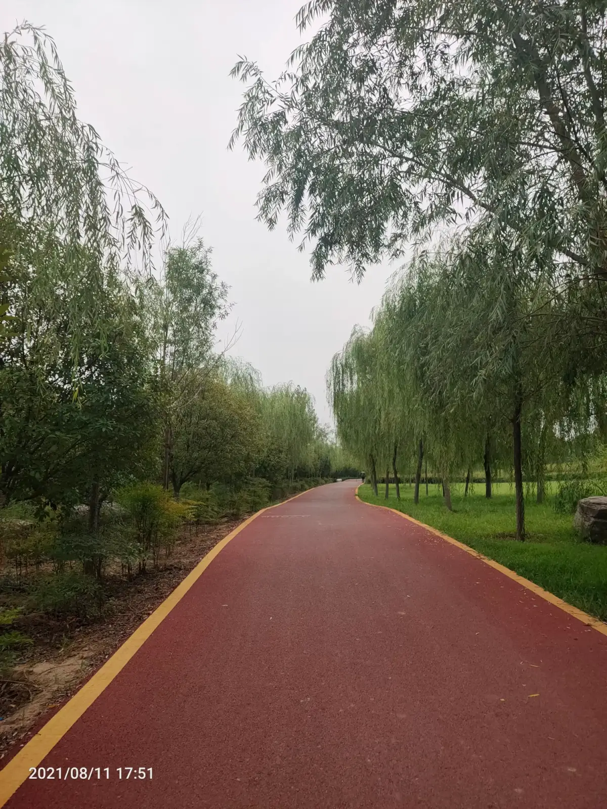 Cover Image of the Post