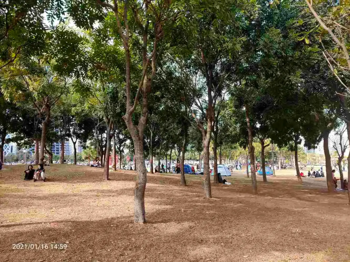 Cover Image of the Post