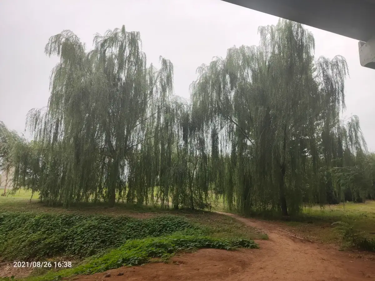 Cover Image of the Post