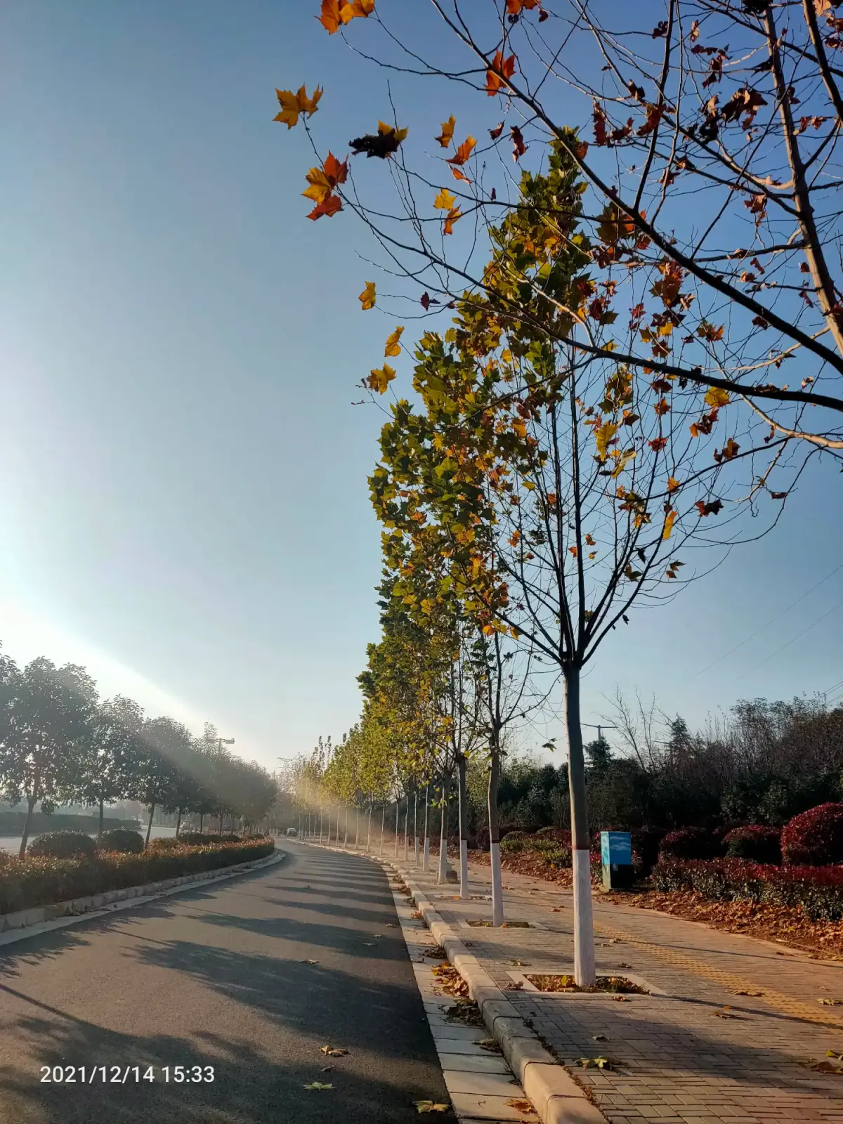 Cover Image of the Post