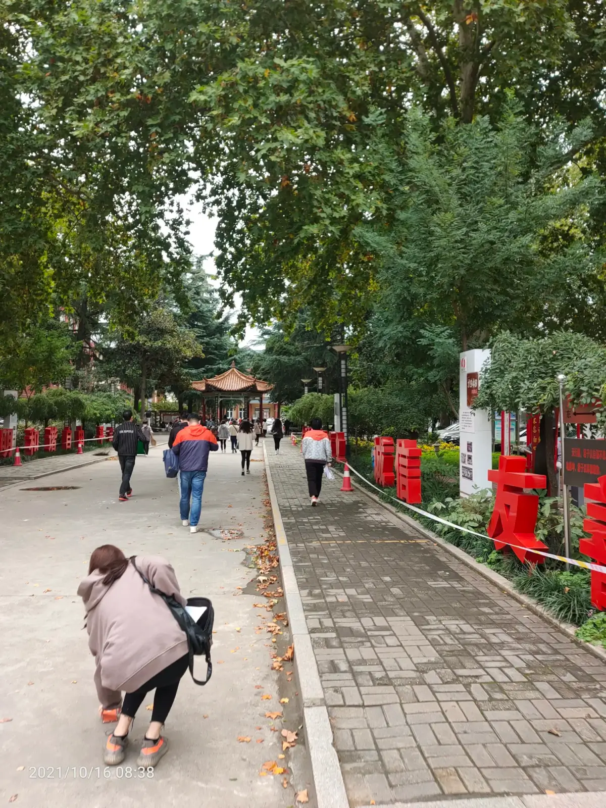 Cover Image of the Post