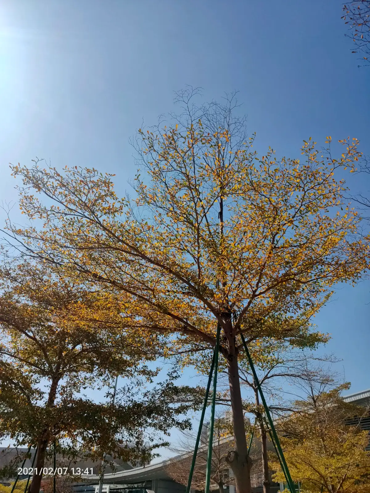 Cover Image of the Post