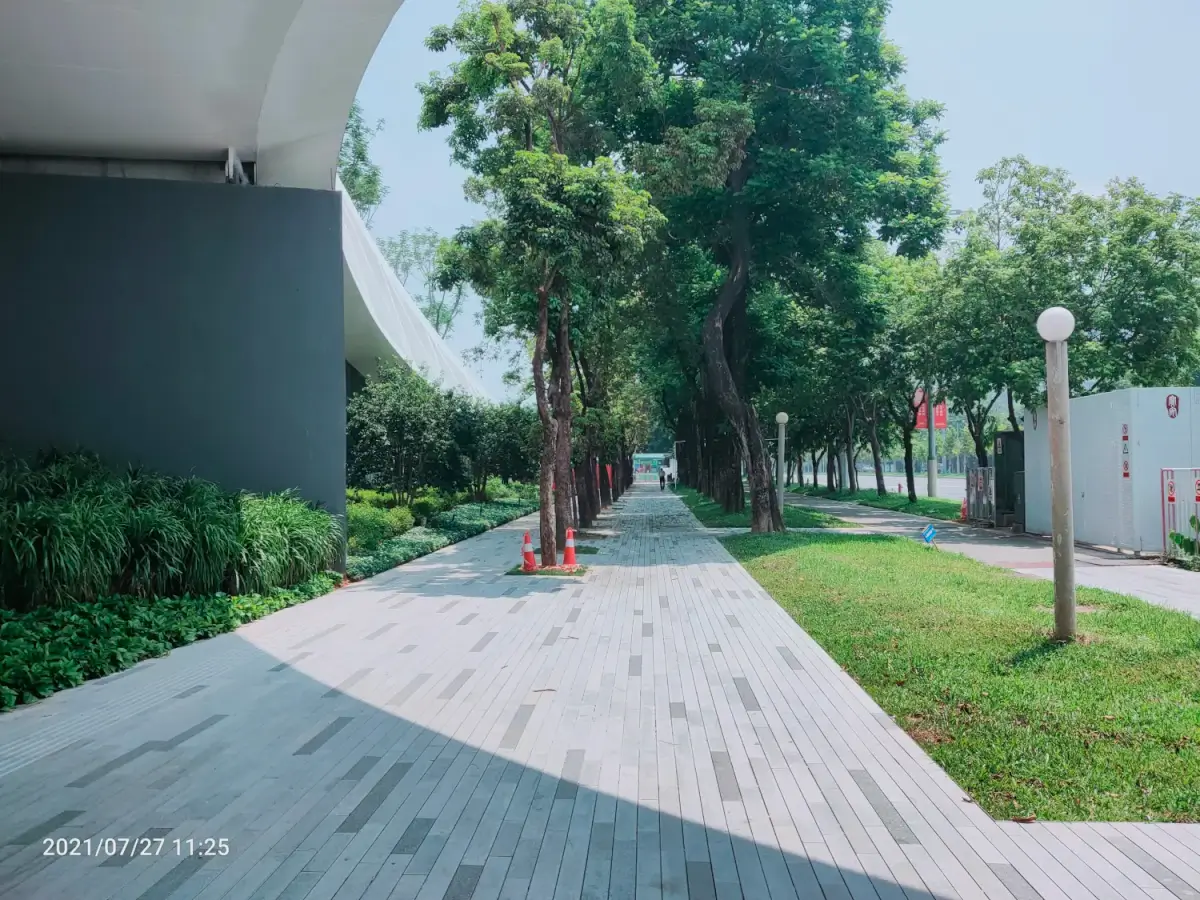 Cover Image of the Post