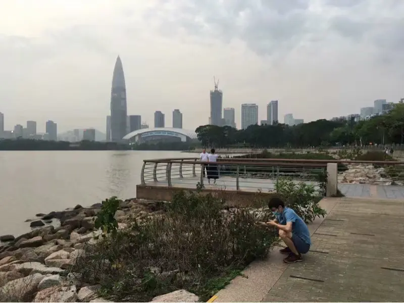 Cover Image of the Post