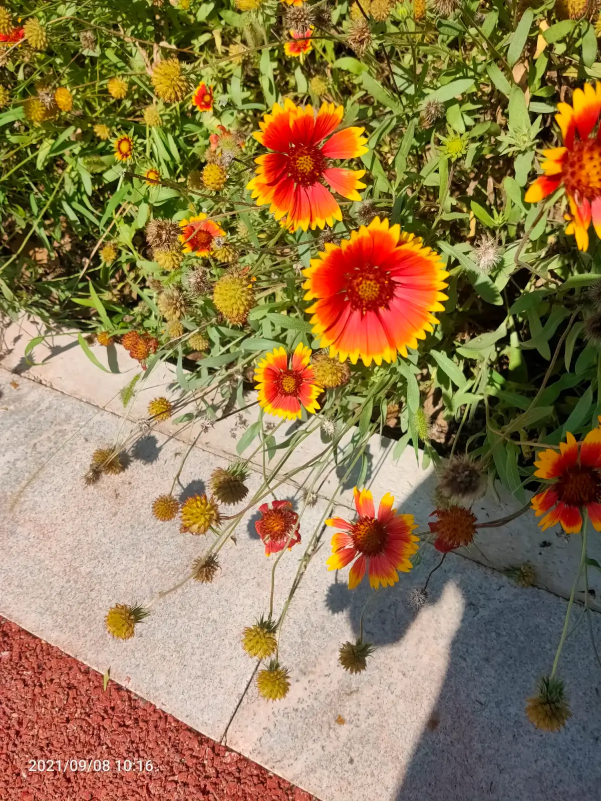 Cover Image of the Post