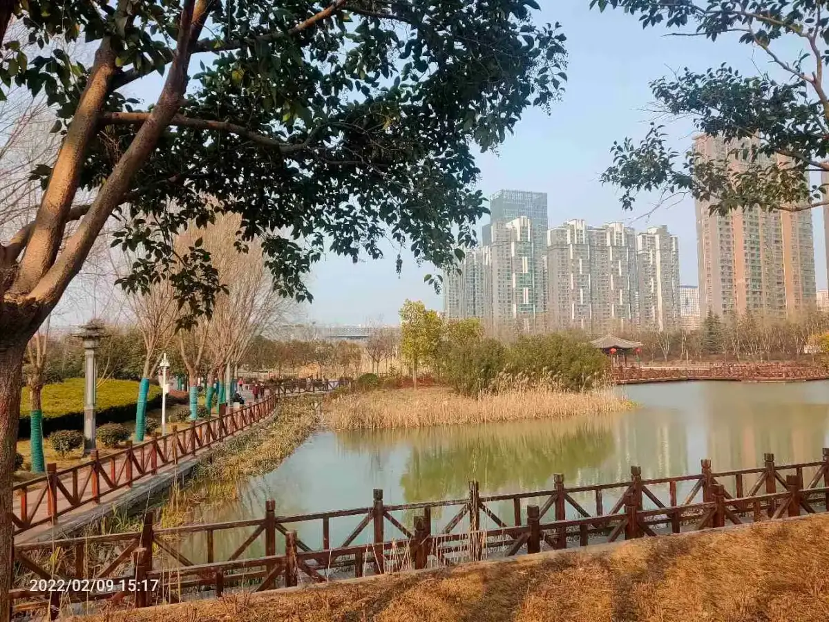 Cover Image of the Post