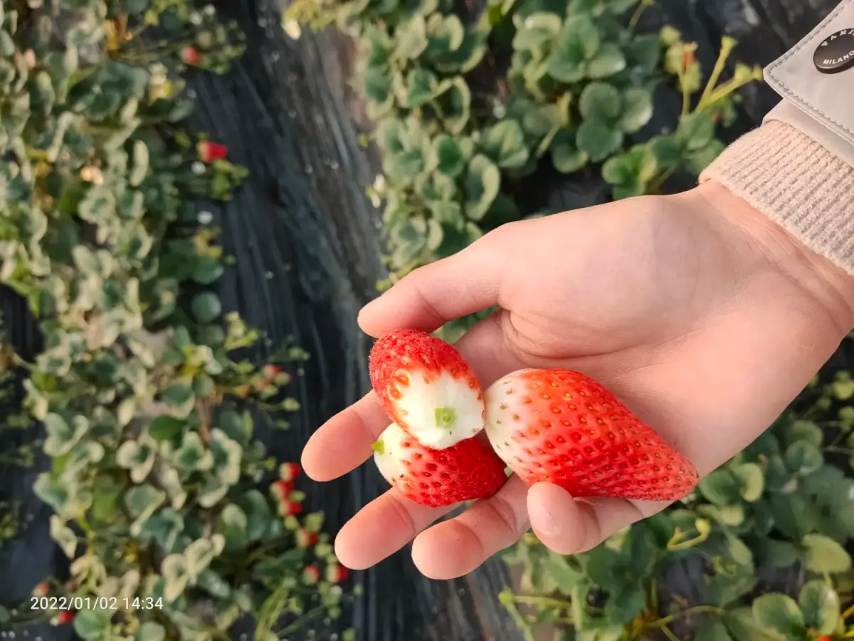 Cover Image of the Post