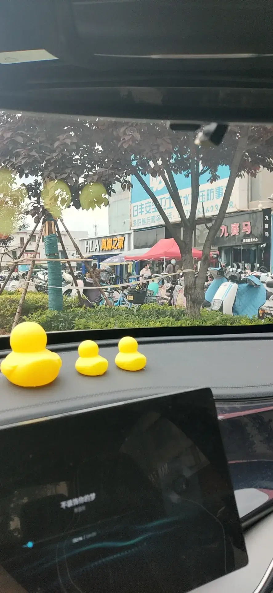 Cover Image of the Post