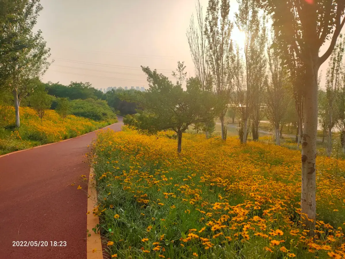 Cover Image of the Post