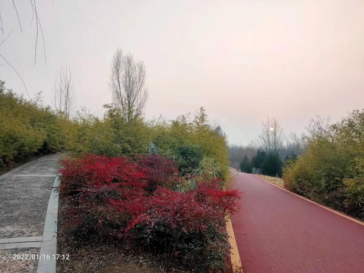 Cover Image of the Post