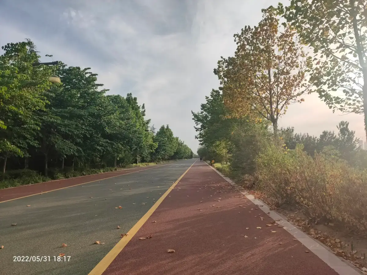 Cover Image of the Post