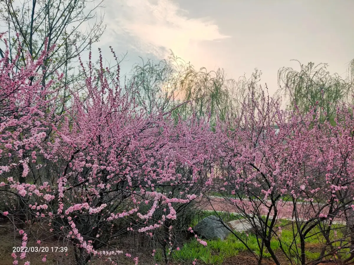 Cover Image of the Post