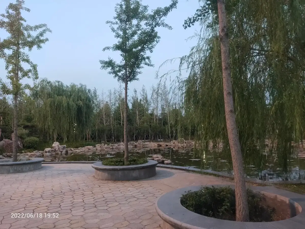 Cover Image of the Post