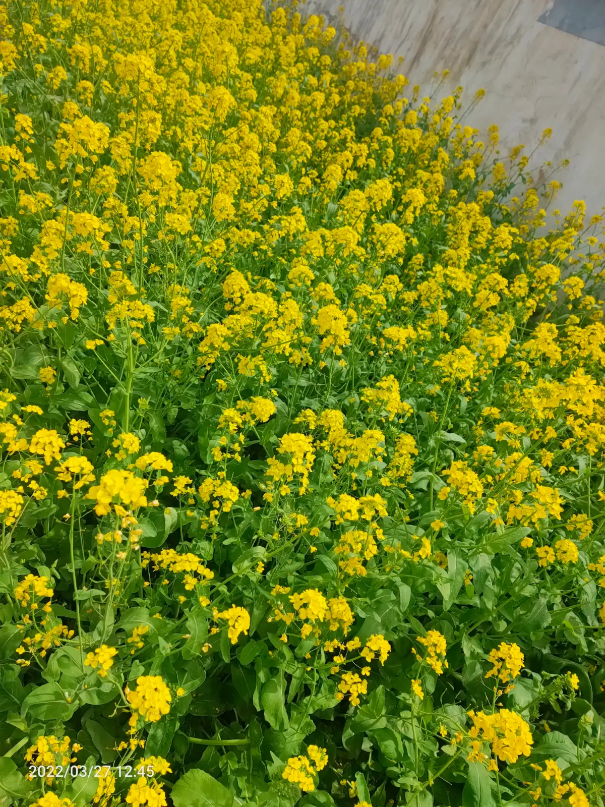 Cover Image of the Post