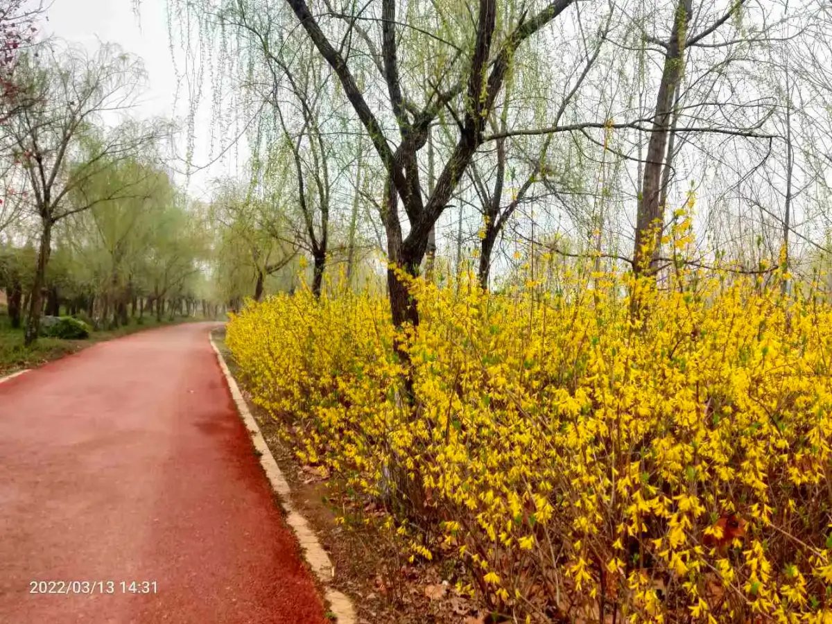 Cover Image of the Post