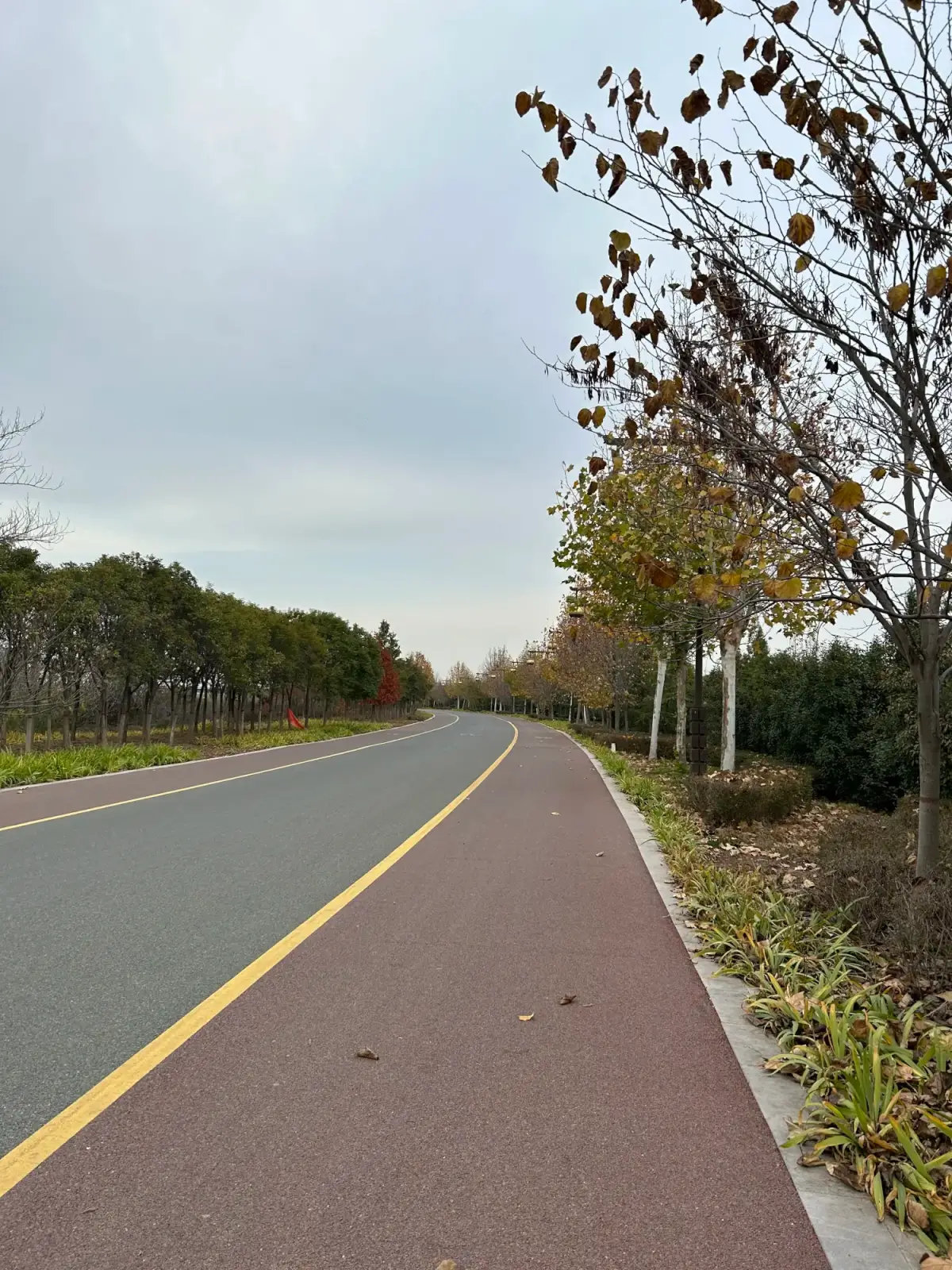 Cover Image of the Post