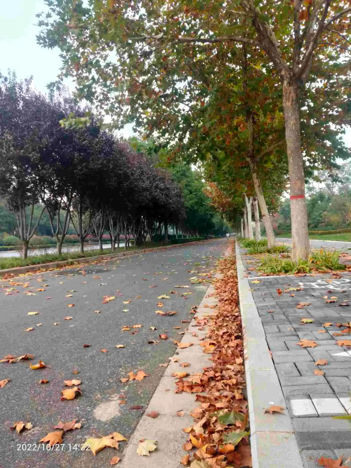 Cover Image of the Post