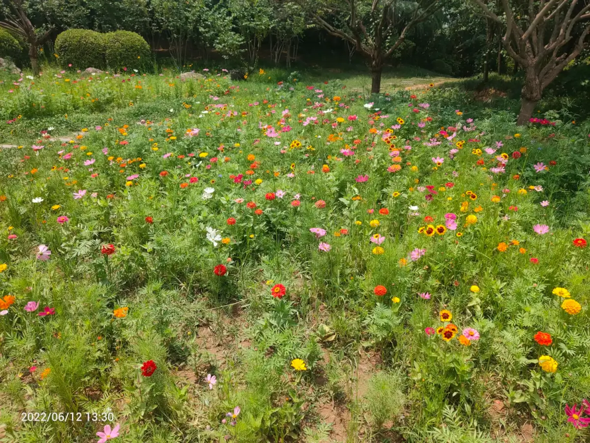 Cover Image of the Post