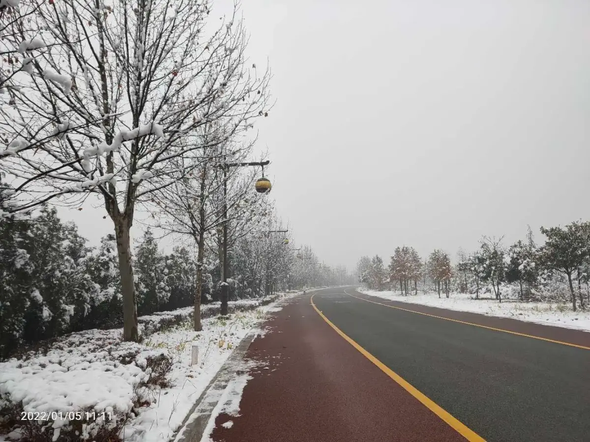 Cover Image of the Post