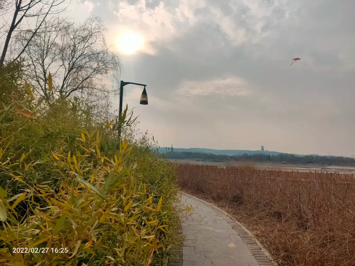 Cover Image of the Post