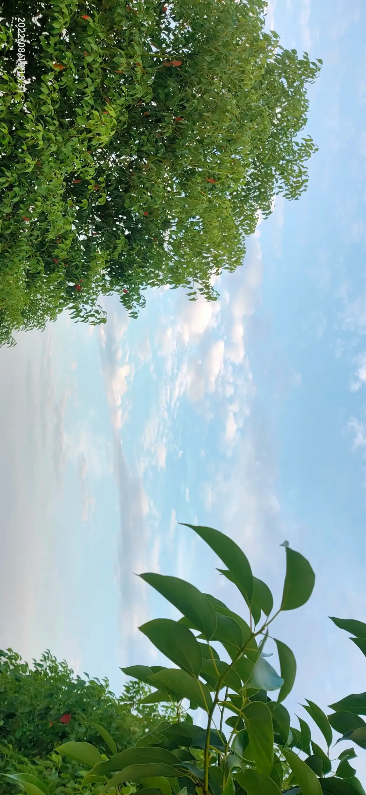 Cover Image of the Post