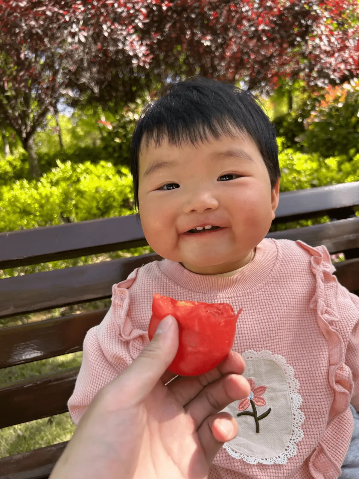 Cover Image of the Post