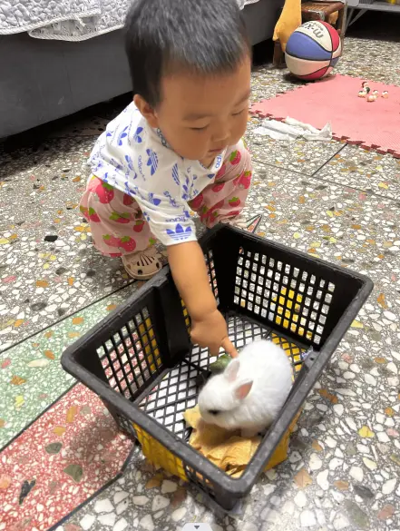 Cover Image of the Post