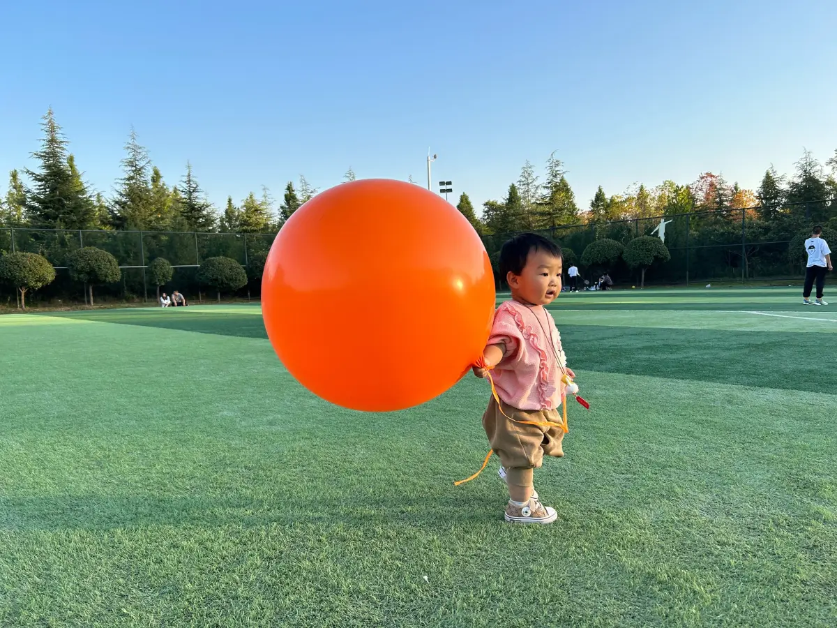 Cover Image of the Post