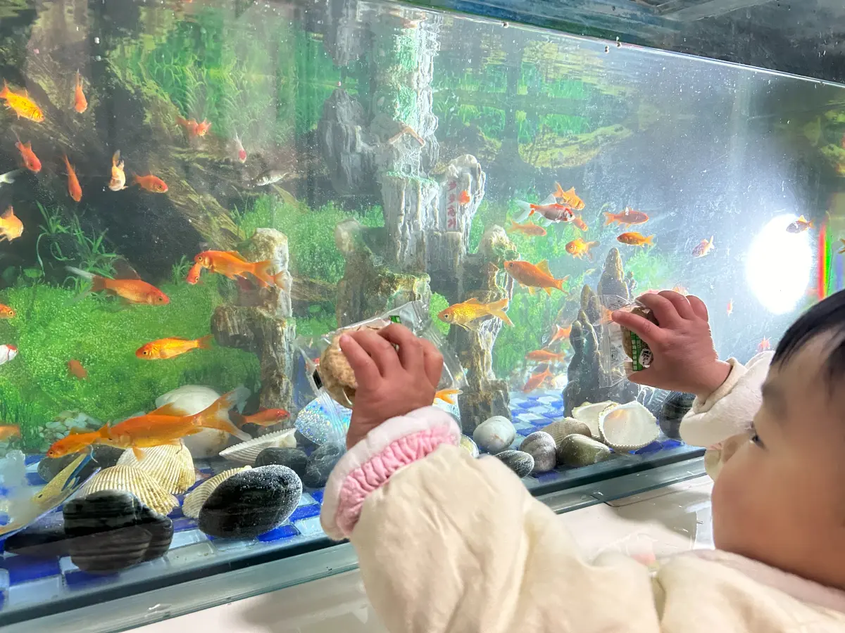 Cover Image of the Post