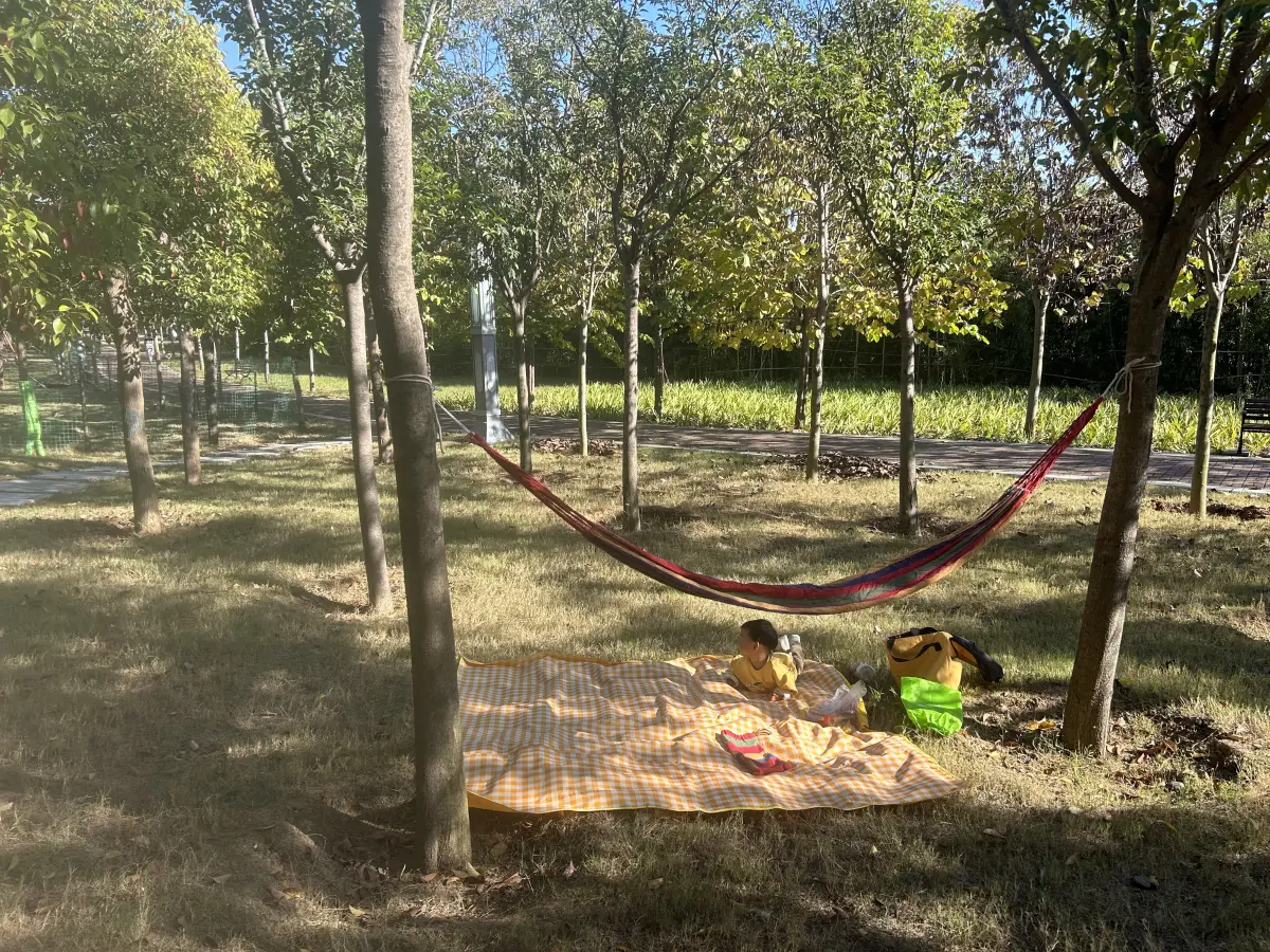 Cover Image of the Post