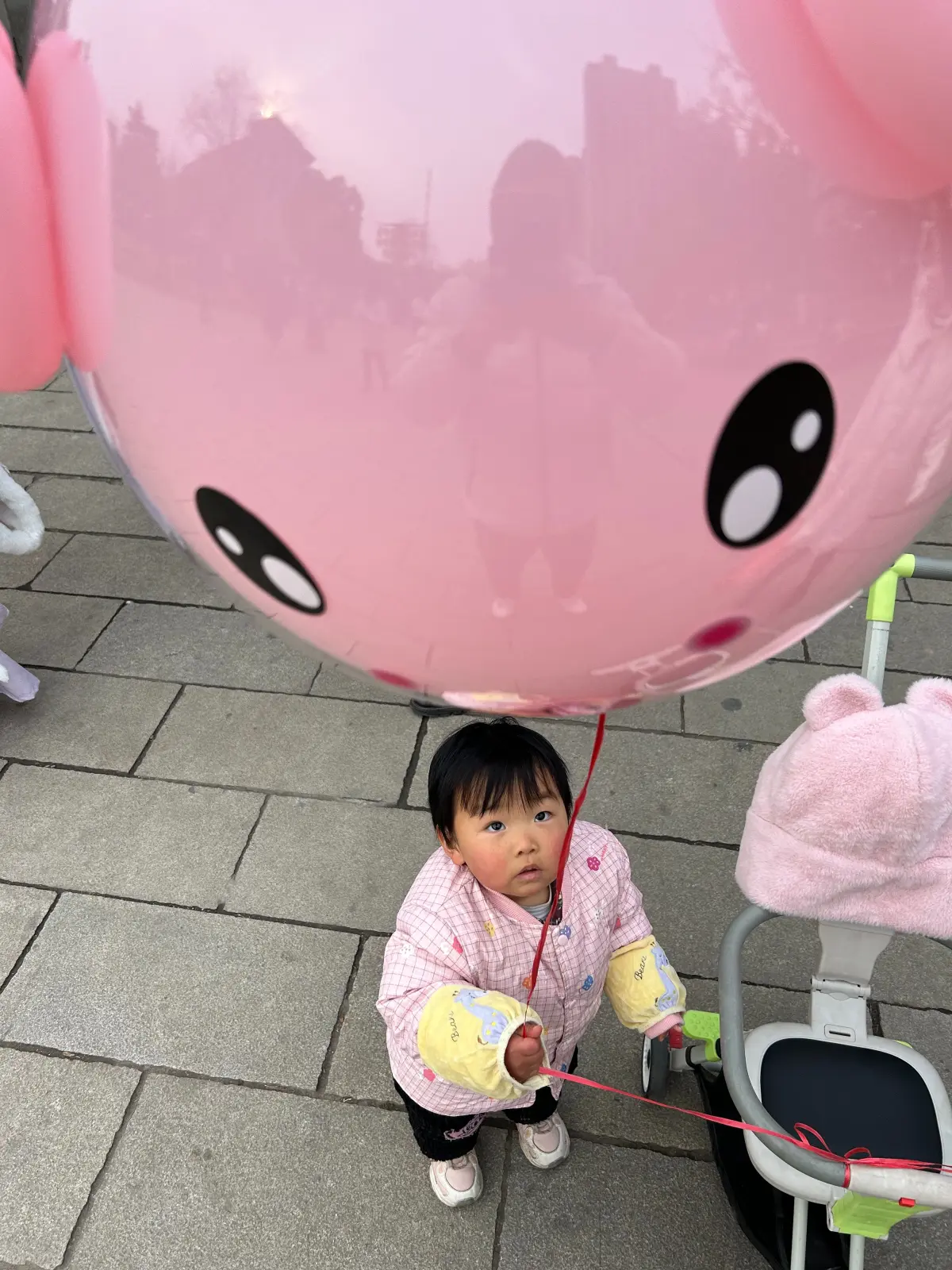 Cover Image of the Post