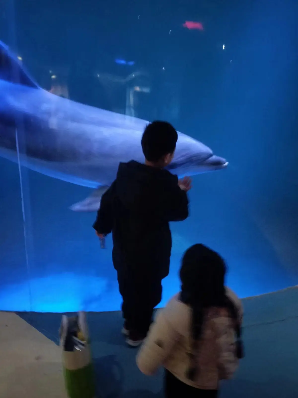 Cover Image of the Post