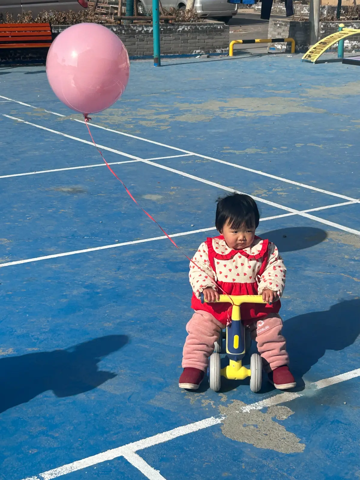 Cover Image of the Post