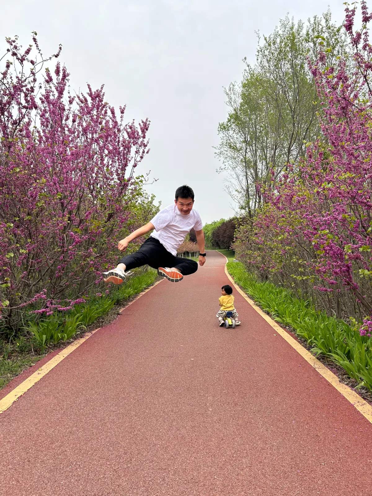 Cover Image of the Post